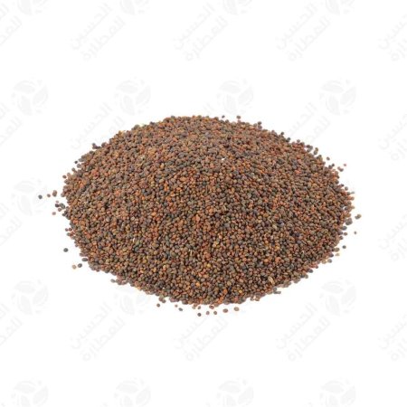 بذور الجرجير