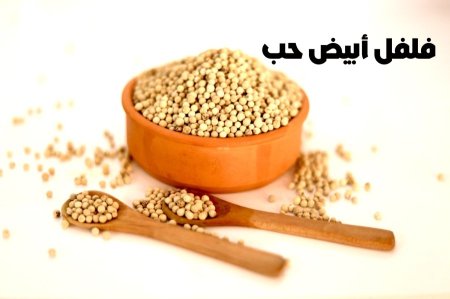 فلفل ابيض حب