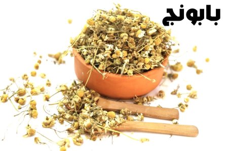 بابونج