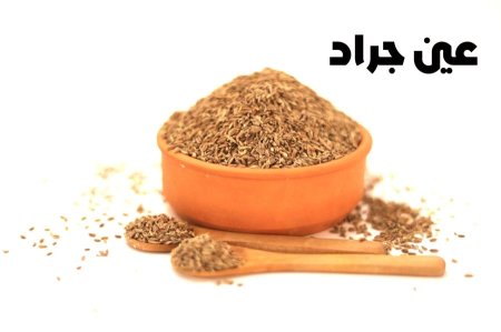 عين جراد