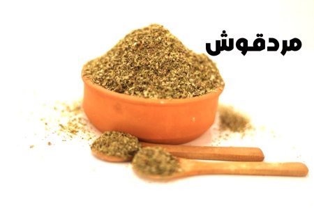مردقوش