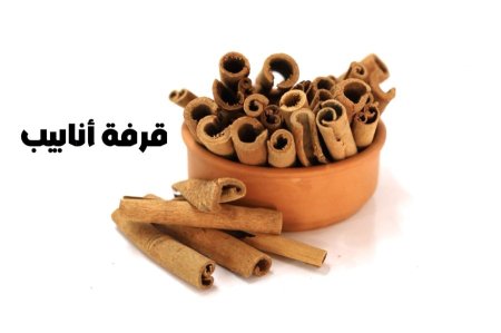 قرفه انابيب