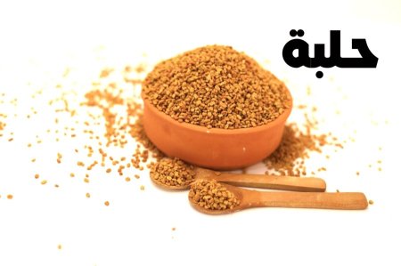 حلبه
