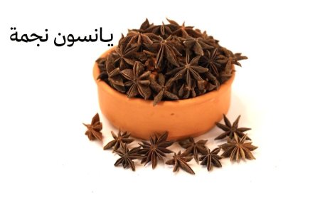 يانسون النجمه