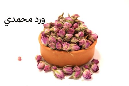 ورد محمدي