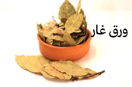 ورق غار
