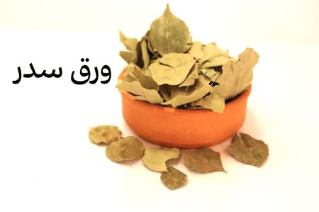 ورق سدر