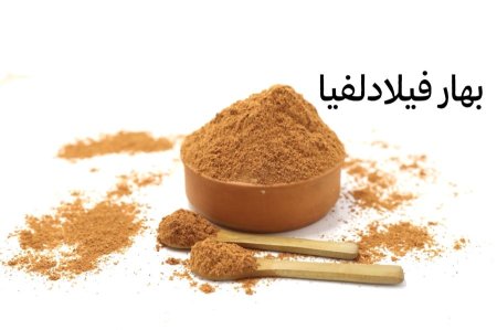 فيلادلفيا