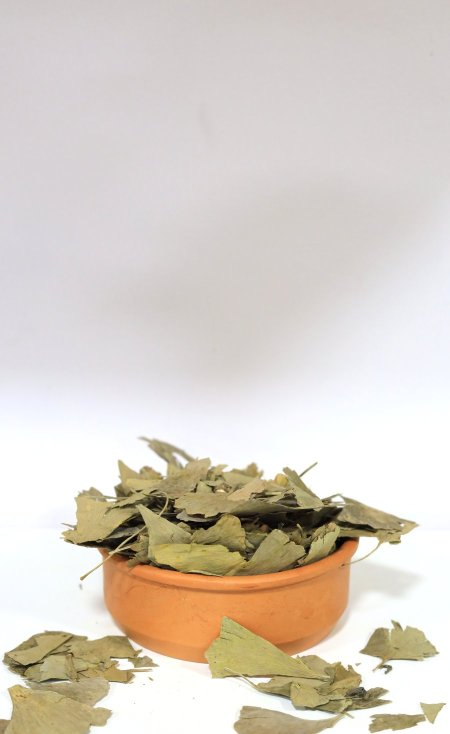 عشبة الجنكا