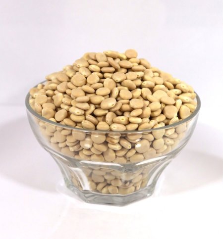 ترمس