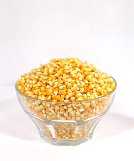 بوشار