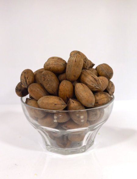 جوز حب