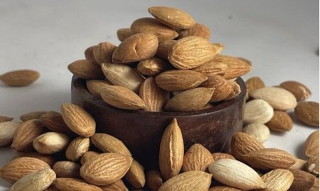 بذور المشمش