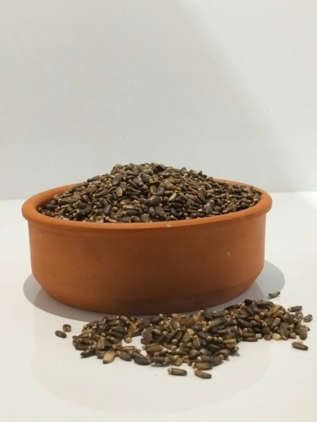 بذور الخرفيش