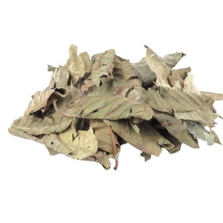 ورق جوافه